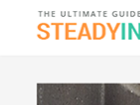 Share theme wordpress SteadyIncome v2.0.7 free