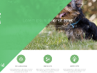 Theme HTML & CSS thuần ( PSD ) Pet Care Knenels Themeforest