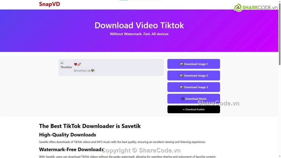 Source code web,tải tiktok,tải tiktok không watermark
