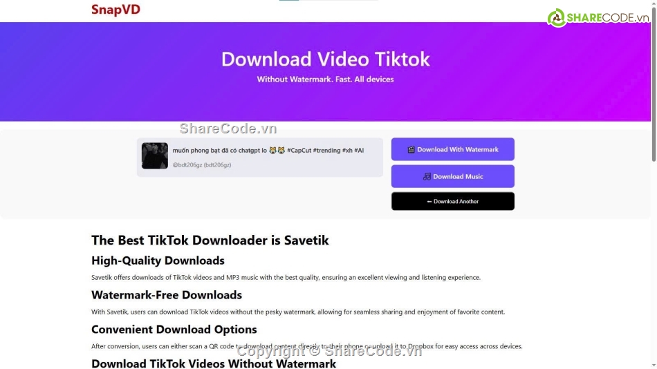 Source code web,tải tiktok,tải tiktok không watermark