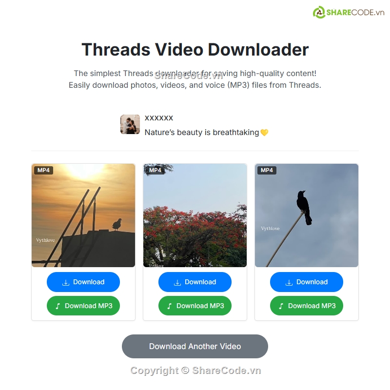 Share code threads video downloader,threads video downloader plugin wordpress,plugin threads video downloader,vietbase