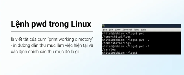 linux, pwd, tin tức công nghệ