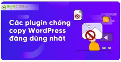 sử dụng plugin, chống copy WordPress, sharecode chống copy WordPress