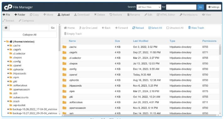 File Manager, dữ liệu lên cPanel, dữ liệu lên cPanel bằng File Manager