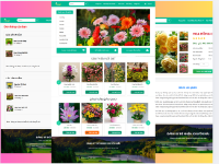 Đồ án + Báo Cáo website cửa hàng bán hoa tươi FAUGET PHP & MYSQL đầy đủ chức năng quản trị và người dùng: giỏ hàng, đặt hàng,thêm, sửa, xóa sản phẩm (kèm báo cáo WORD 60 trang đủ 7loại UML)