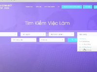 Đồ án tuyển dụng việc làm giao diện đẹp Asp.net MVC Core Net 8.0