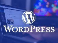 Free Share Code Tổng hợp theme và plugin hay cho wordpress