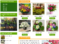 Full Code Đồ Án Website Bán Hoa Tươi PHP & Mysql có đầy đủ quản trị và người dùng: login,logout,đặt hàng,mua hàng,thanh toán,quản lí sp,nsp,checkout,đặt hàng,..