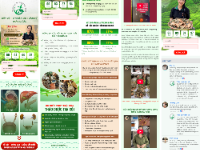 Full code landing page tư vấn chữa sỏi thận – Giao diện chuyên nghiệp, tối ưu chuyển đổi