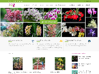 Full code webiste giới thiệu hoa lan bằng Codeigniter