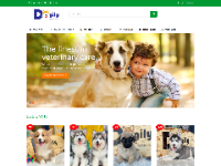 web án thú cưng,web thú cưng bằng nodejs,web bán thú cưng vật nuôi,web thú cưng bằng MongoDB