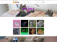 Full code Website bán thú cưng chuẩn SEO cực đẹp
