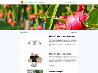 Full code website giới thiệu sản phẩm hợp tác xã nông nghiệp cực đẹp