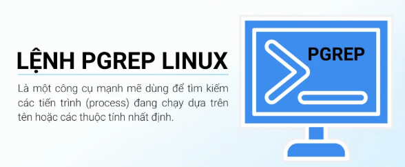 Hướng dẫn sử dụng lệnh pgrep trên Linux cho người mới bắt đầu Linux, pgrep, Lệnh pgrep trên Linux