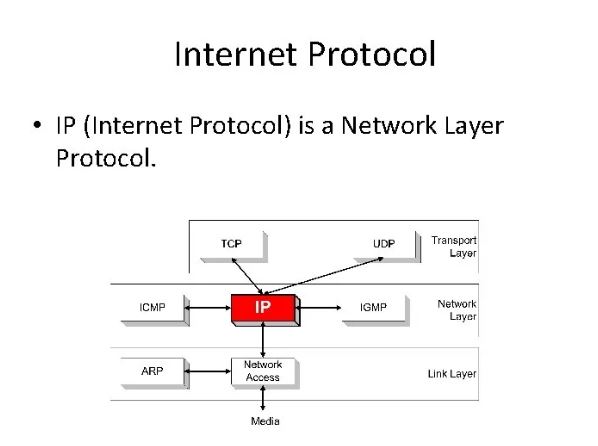 sharecode.vn,  Kiến thức tổng quan về Protocol, Protocol 
