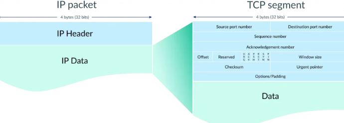 sharecode.vn,  Kiến thức tổng quan về Protocol, Protocol 
