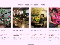 Landing page Flower - Giao diện tin tức, giới thiệu cửa hàng hoa