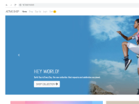 Laravel-Thương mại điện tử