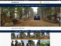 Mẫu website nhà vườn cung cấp các loại cây, dịch vụ thiết kế sân vườn
