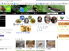 Share code website bán chim cảnh online