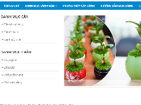 Share code website bán hoa tươi, cây cảnh văn phòng chuẩn SEO