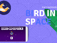 Source code bird in space (android sdk 6.0)