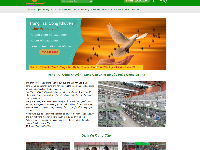 Source code website trang trại bán con giống - tin tức nông nghiệp , Chuẩn SEO ,Full tính năng