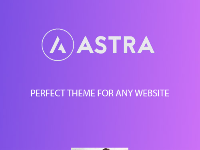 Theme + plugin Astra trọn bộ