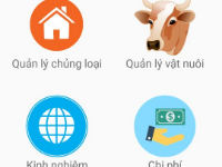 Ứng dụng quản lý chăn nuôi, trên android, giao diện đẹp