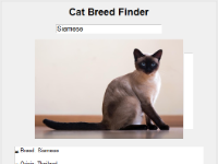 Ứng dụng tìm kiếm giống mèo sử dụng Tkinter trong Python