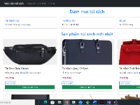 Web bán túi sách C# SQL server