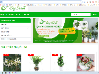 Website bán cây cảnh ASP.NET MVC thích hợp thanh toán ngân lượng