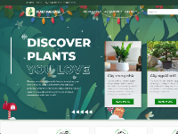 Website thương mại điện tử cho cửa hàng bán cây cảnh