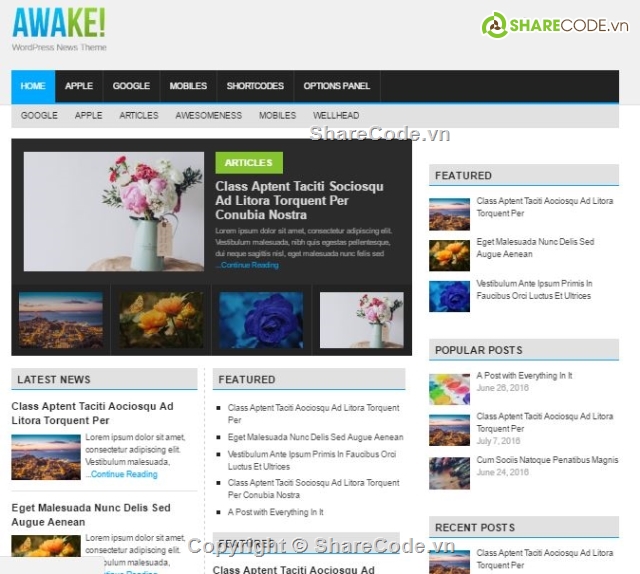 website chuẩn SEO,Awake Theme,theme tin tức wordpress,tin tức,website báo chí,Theme Báo Chí