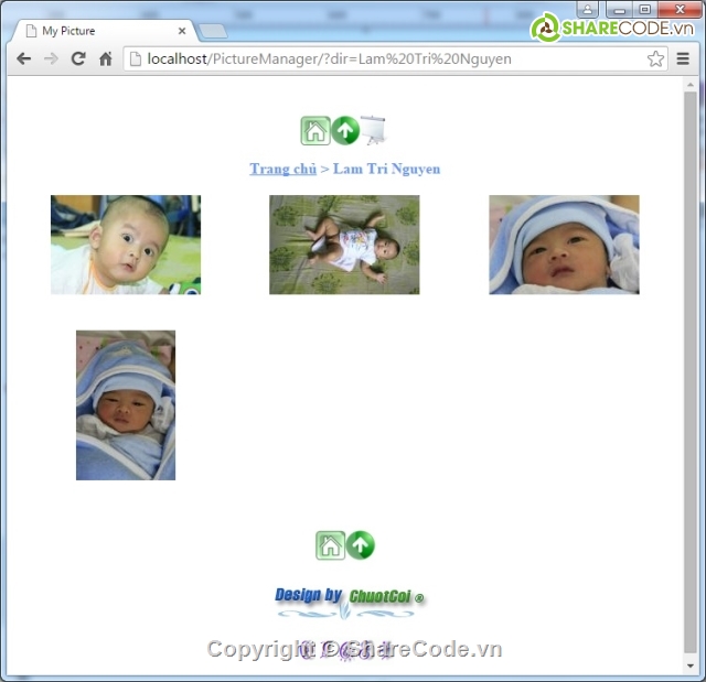 web php,load picture to picturebox,PictureManager,web upload