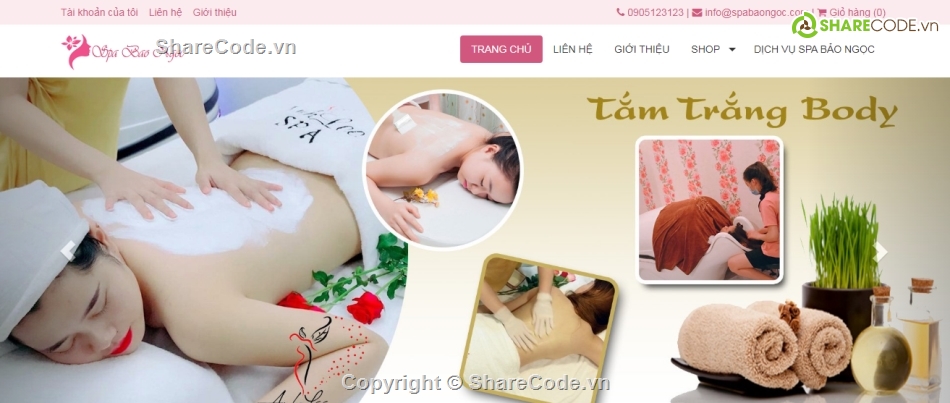 website spa,web spa thương mại,web thẩm mỹ viện,code web thẩm mỹ viện