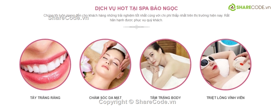 website spa,web spa thương mại,web thẩm mỹ viện,code web thẩm mỹ viện