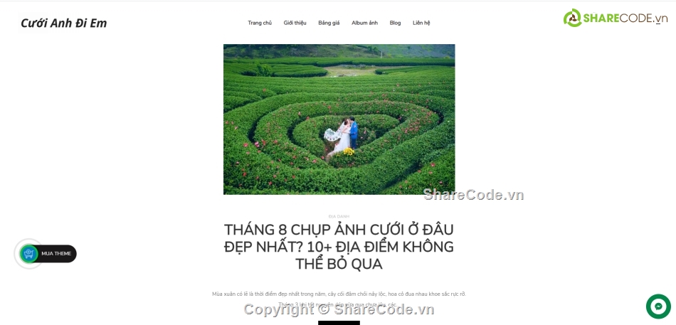 theme ảnh viện,wordpress ảnh viện áo cưới,website chụp ảnh,Studio chụp hình