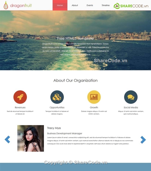 website đẹp,website thiết kế,thiết kế HTML5,template đẹp,Dragon Fruit,landing page