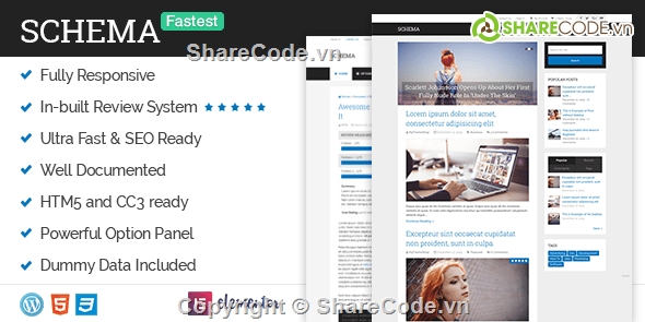 schema theme,theme tin tức wordpress,theme wordpress mythemeshop,Theme Schema