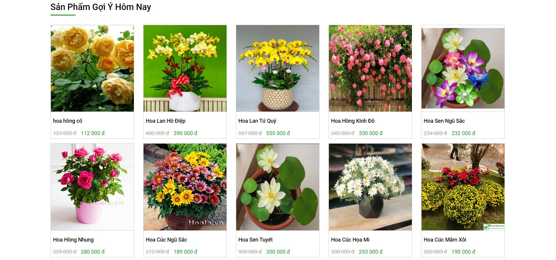 Website bán hàng,Website bán hoa tươi,bán hoa tươi