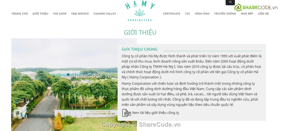 web giới thiệu công ty,web bán hạt điều,code chuẩn seo,web giới thiệu doanh nghiệp,web bán hàng