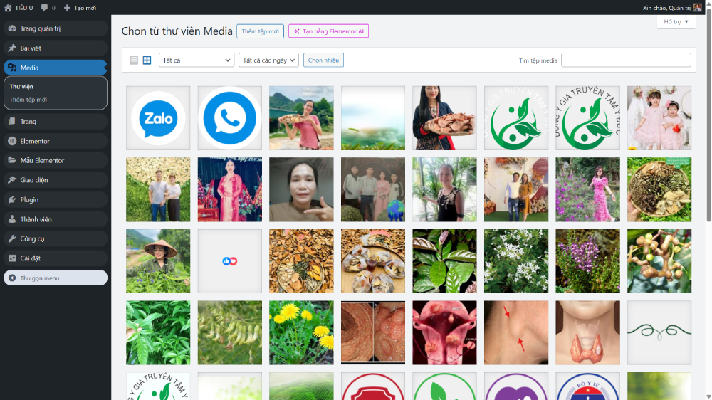 top code,landing tư vấn,code web chuẩn seo,share code,code web wordpress,web thảo dược