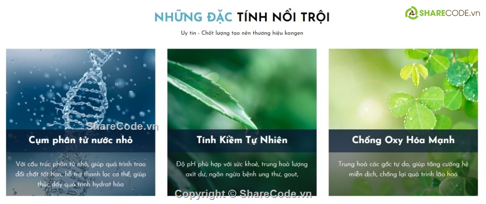 website máy lọc nước,website chuẩn seo,full code php,website thương mại dịch vụ,tích hợp giỏ hàng và thanh toán