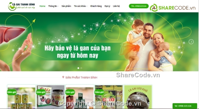 theme wordpress,theme wordpress chuẩn seo,theme web công ty có shop,web wordpress,web giới thiệu công ty