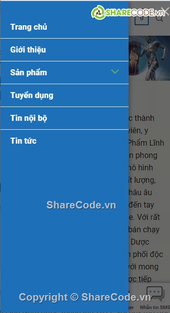 web bán hàng chuẩn SEO,Web bán hàng dược phẩm,web thực phẩm chức năng,web thực phẩm chức năng chuẩn seo,Full code web bán hàng dược phẩm