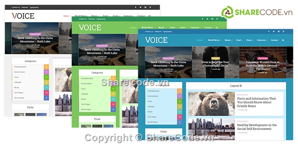 Voice wordpress,Theme wordpress,Blog tin tức,blog báo chí