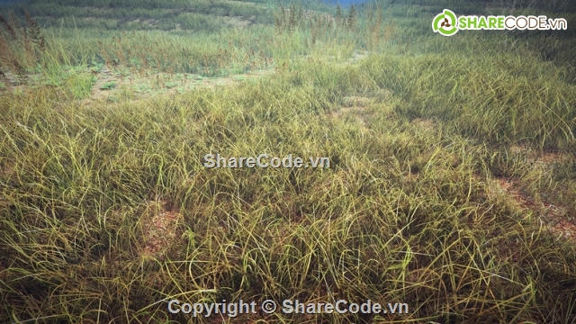 Grass Pack,Unity,3d models,nature