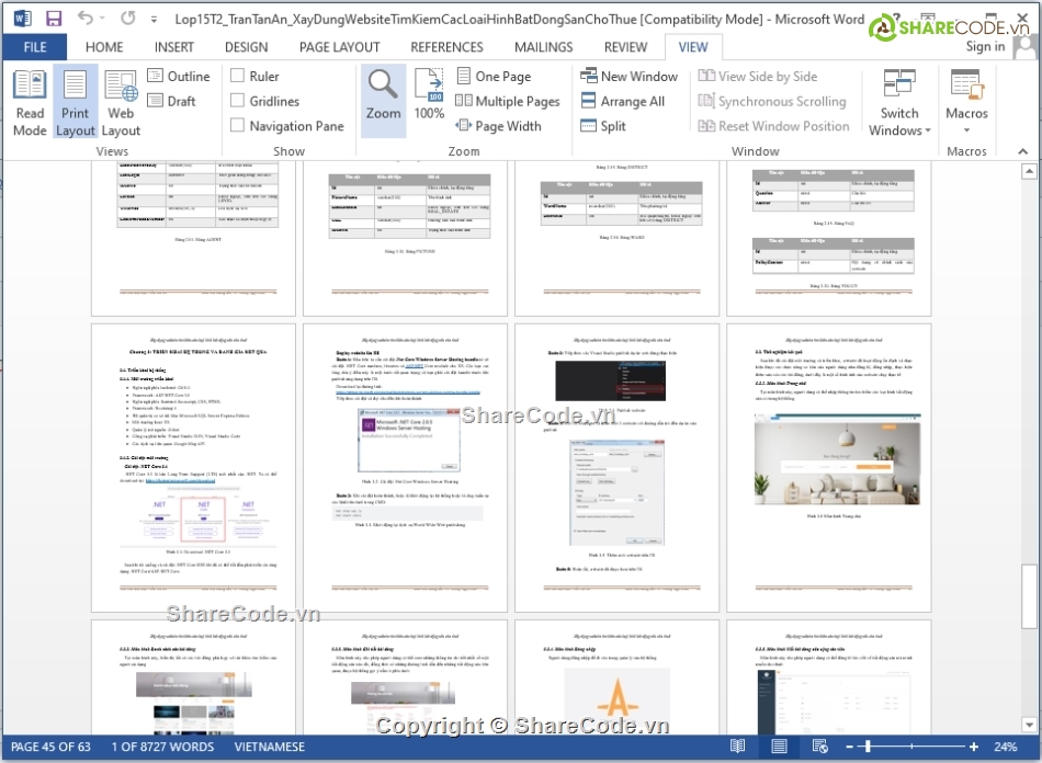 web,website,NET
