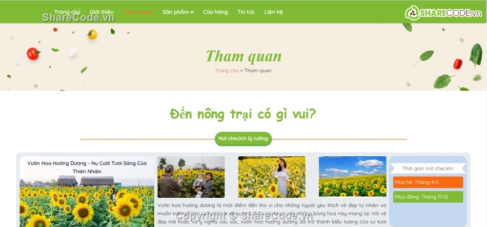 web,code web,web tĩnh,mẫu,chủ đề,code